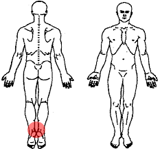 Full body with highlighted area over inner thigh